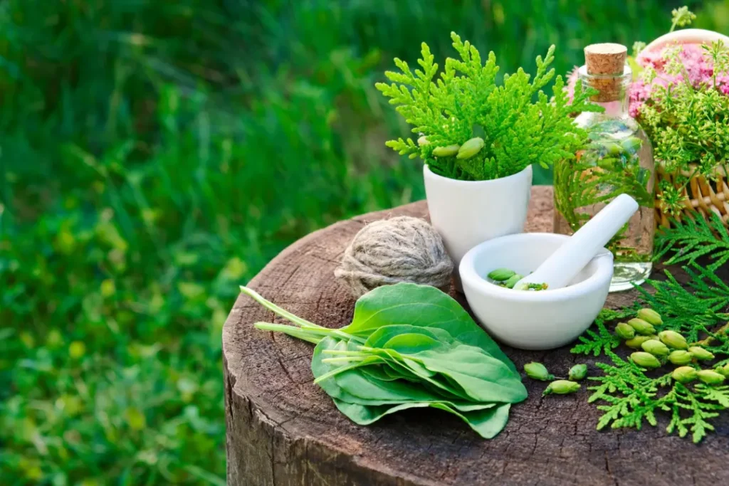 Ayurvedic Products Manufacturers in India