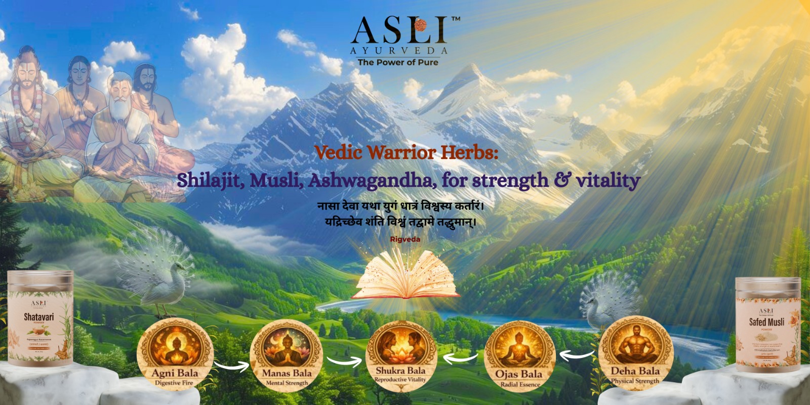 Vedic Warrior Herbs: Shilajit, Musli, Ashwagandha, etc. for strength & vitality | Asli Ayurveda