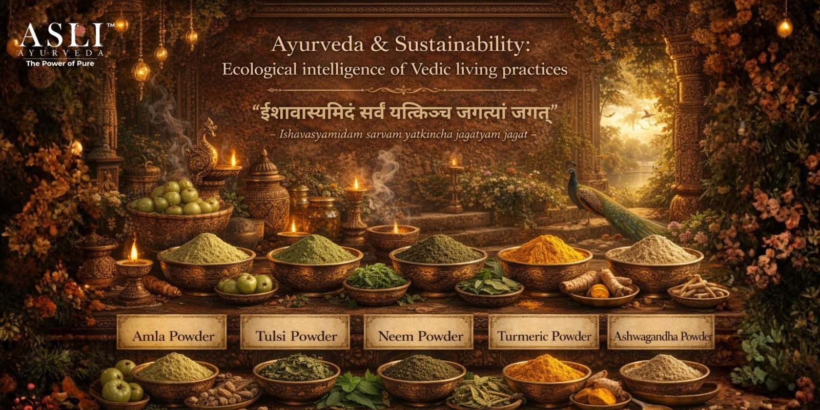 Ayurveda & Sustainability: Ecological intelligence of Vedic living ASLI practices