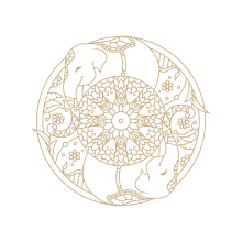 icon-2-1